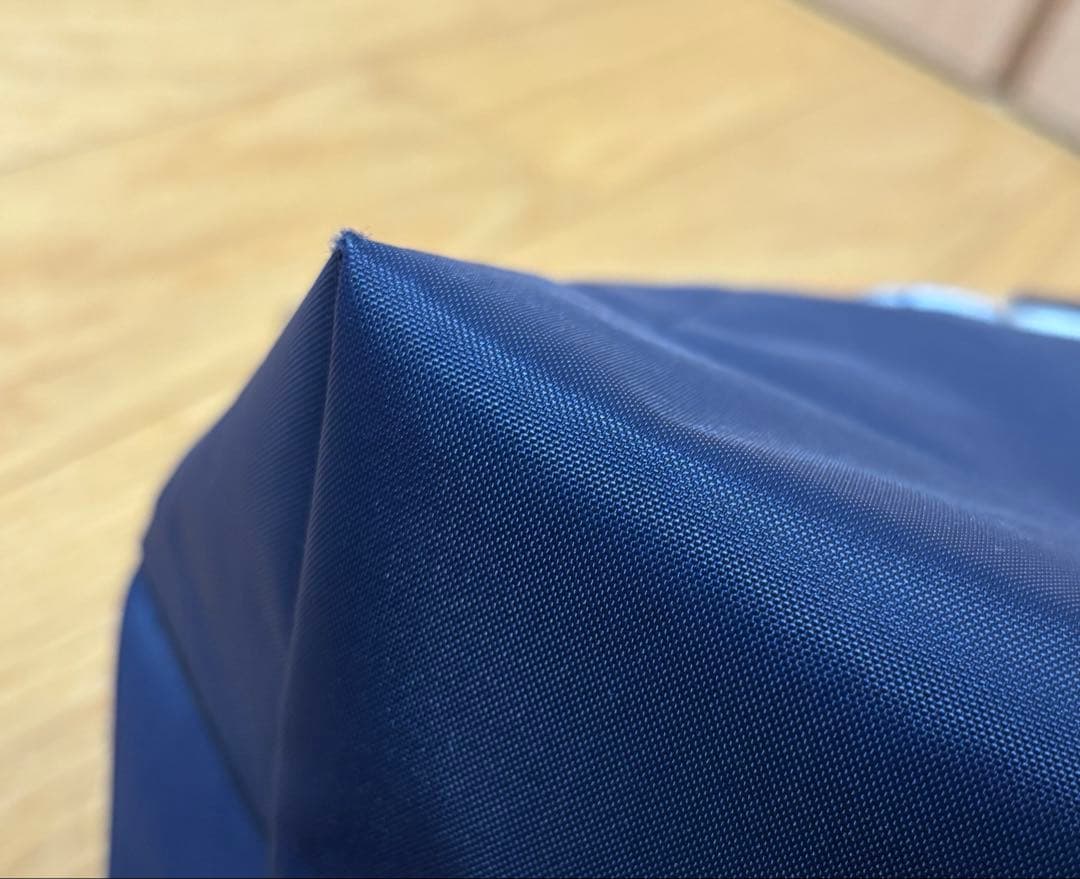 ロンシャン2wayバッグ プリアージュ トレパリ S