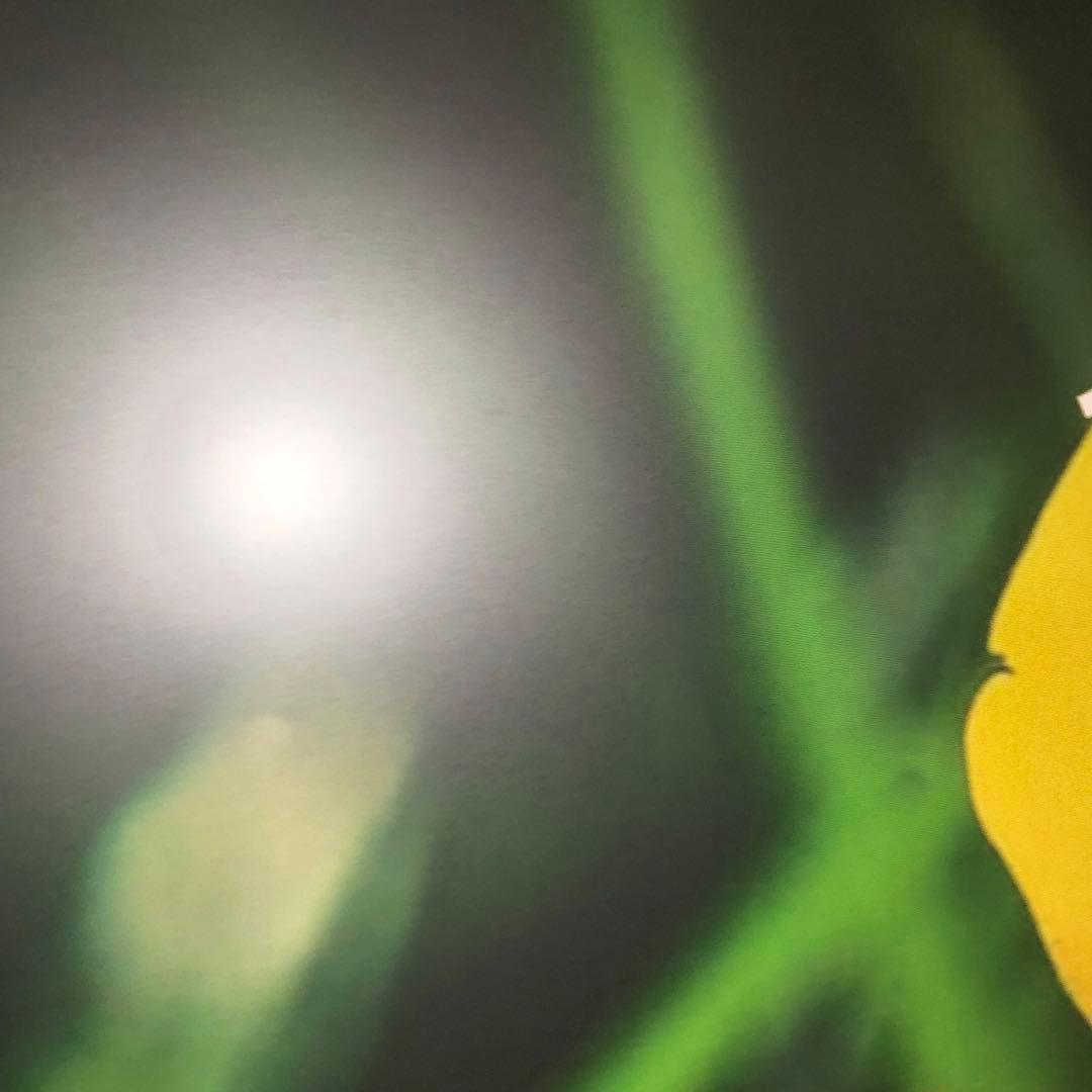 LG 2K 27インチモニタ　22年9月製造　27QN600 2798時間