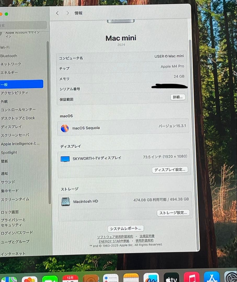 Macデスクトップ Mac mini M4 Pro 12C 16C 24GB 512GB 2024