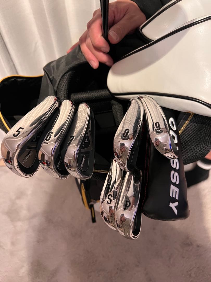 キャロウェイ（Callaway）WARBIRD 2019ゴルフクラブ10本セット