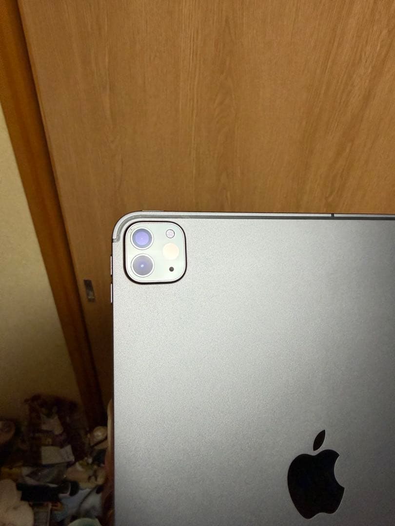 iPadpro 11インチ 第2世代 256G Wi-Fi+Cellular