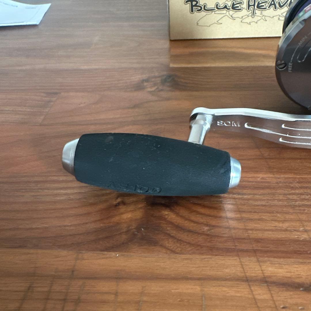 ブルーヘブン BHL100Pw-R-LB（22）AE100 パワーギアモデル