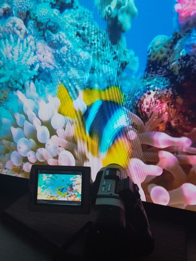 ソニー　安定動作 MiniDV ビデオカメラ DCR-TRV7 ミニdv