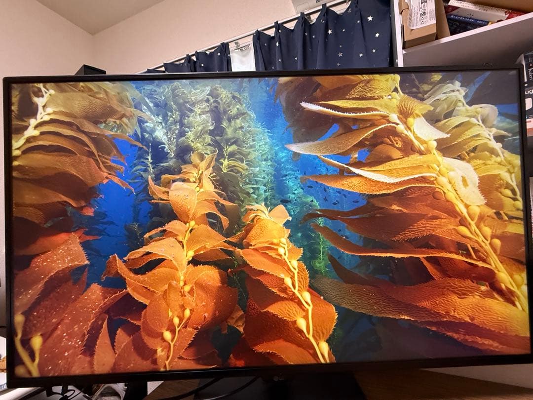 LG モニター ディスプレイ 43UD79-B 42.5インチ/4K