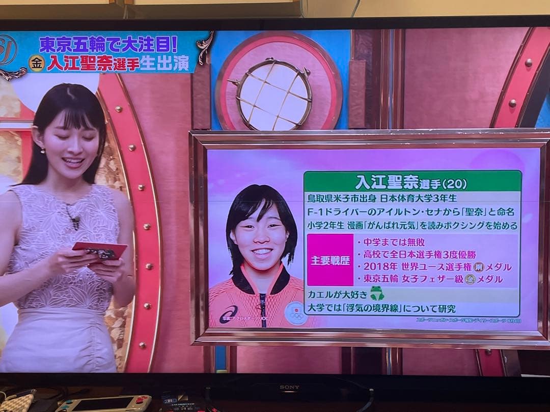 65V型BRAVIA ブラビア KD-65X9200A 画面横線有 その他問題無