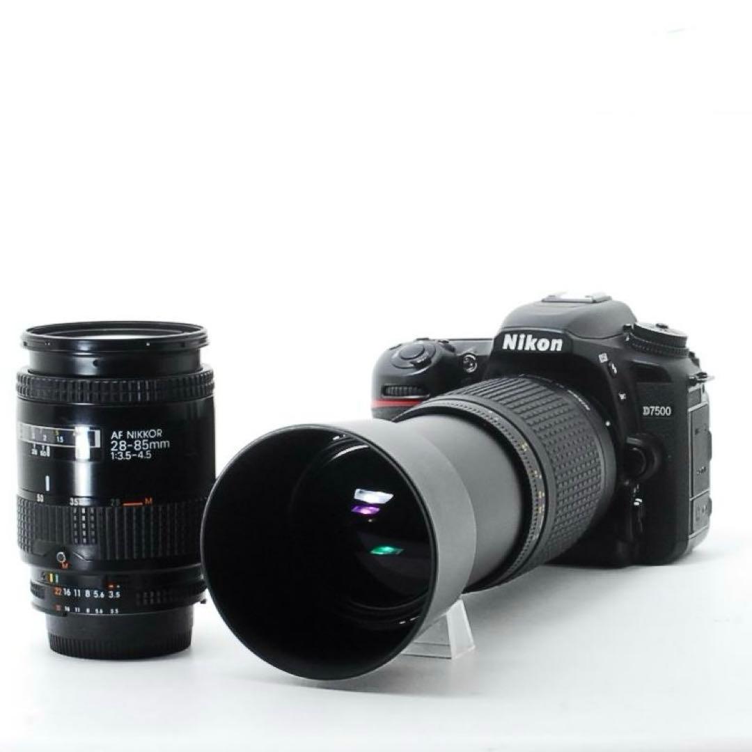 収納バッグ付き高画質D7500＋標準＆望遠レンズセット
