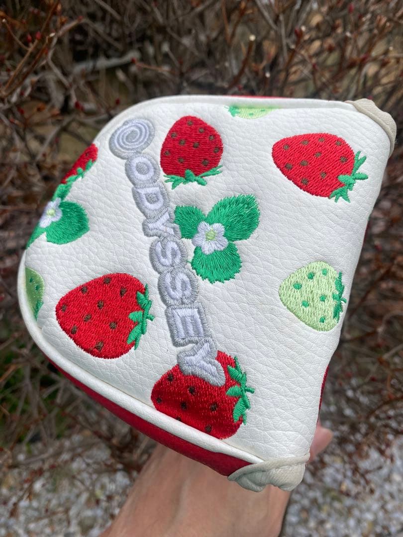 テーラーメイド　スパイダー X SX-72パター