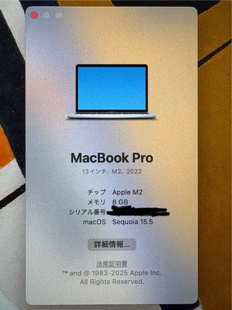 MacBook Pro 13インチ 256GB MNEP3J/A