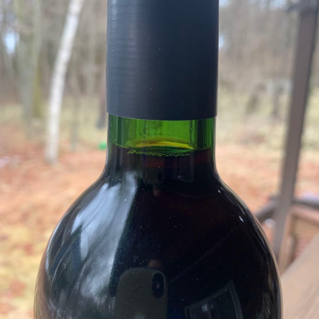 デュオ　ダミ　2017 ②