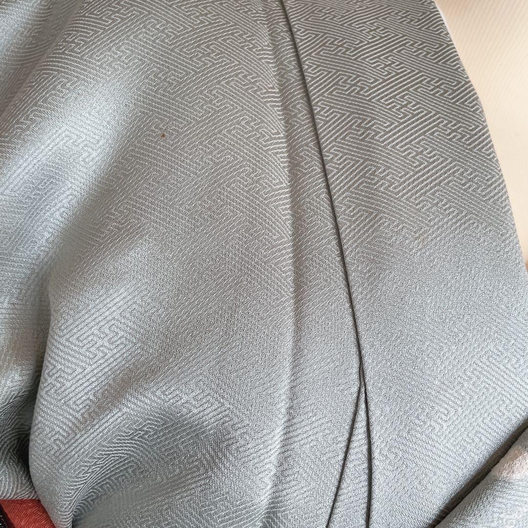 訪問着+長襦袢　フルセット　桜　相良刺繍　絞り　亀甲紋様　入学式　卒業式　Q5