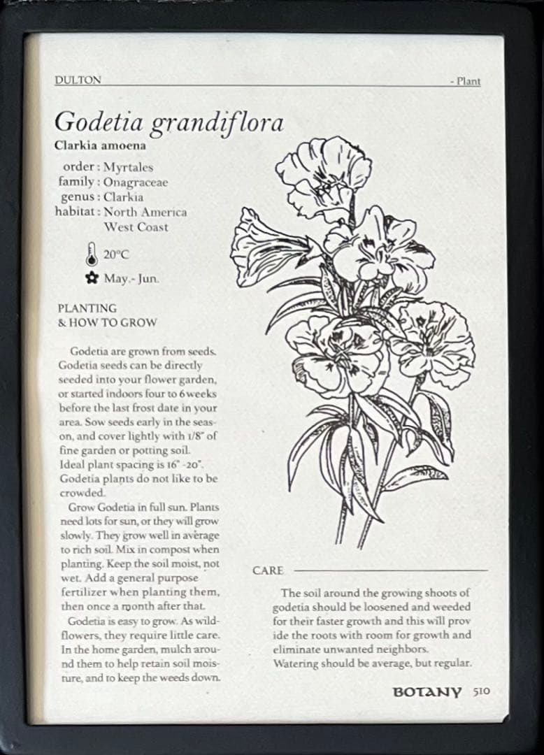 ダルトン　アンティーク調フォトフレーム　6インワン