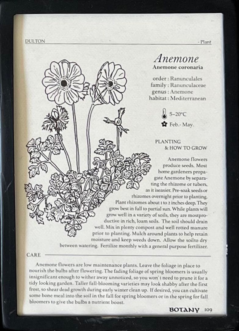 ダルトン　アンティーク調フォトフレーム　6インワン