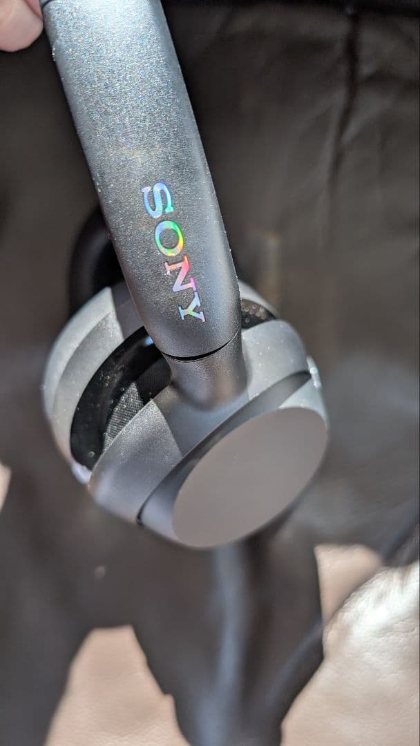 SONY　 WH-ULT900N
