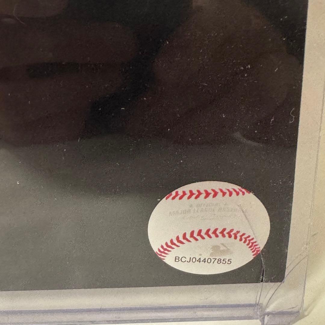 ブレーブス アクーニャJr 直筆サインフォト 2023 NL MVP 証明付
