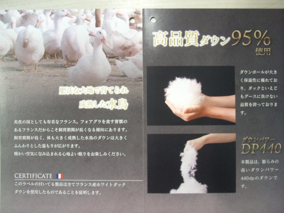 チョコさま六つ星ブラック ＊フランス産９５％＊１，２増量＊二層式高級羽毛布団ＳＢ