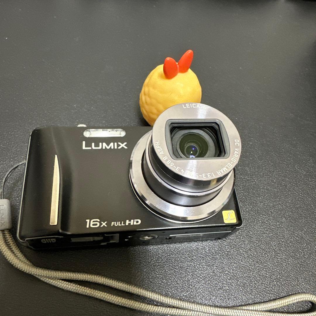 美品 Panasonic LUMIX DMC-TZ20 動作品　付属品有り