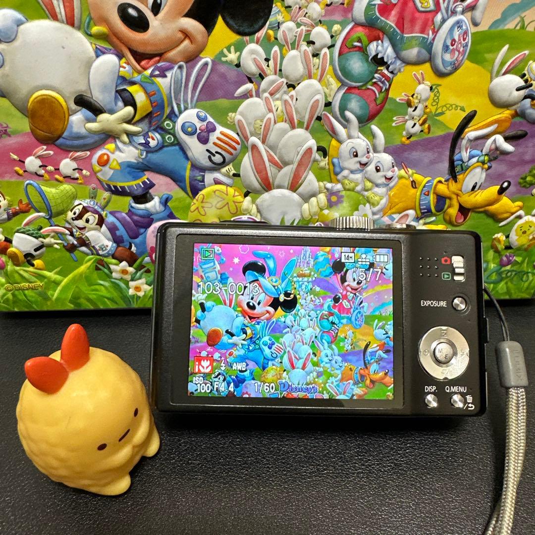 美品 Panasonic LUMIX DMC-TZ20 動作品　付属品有り