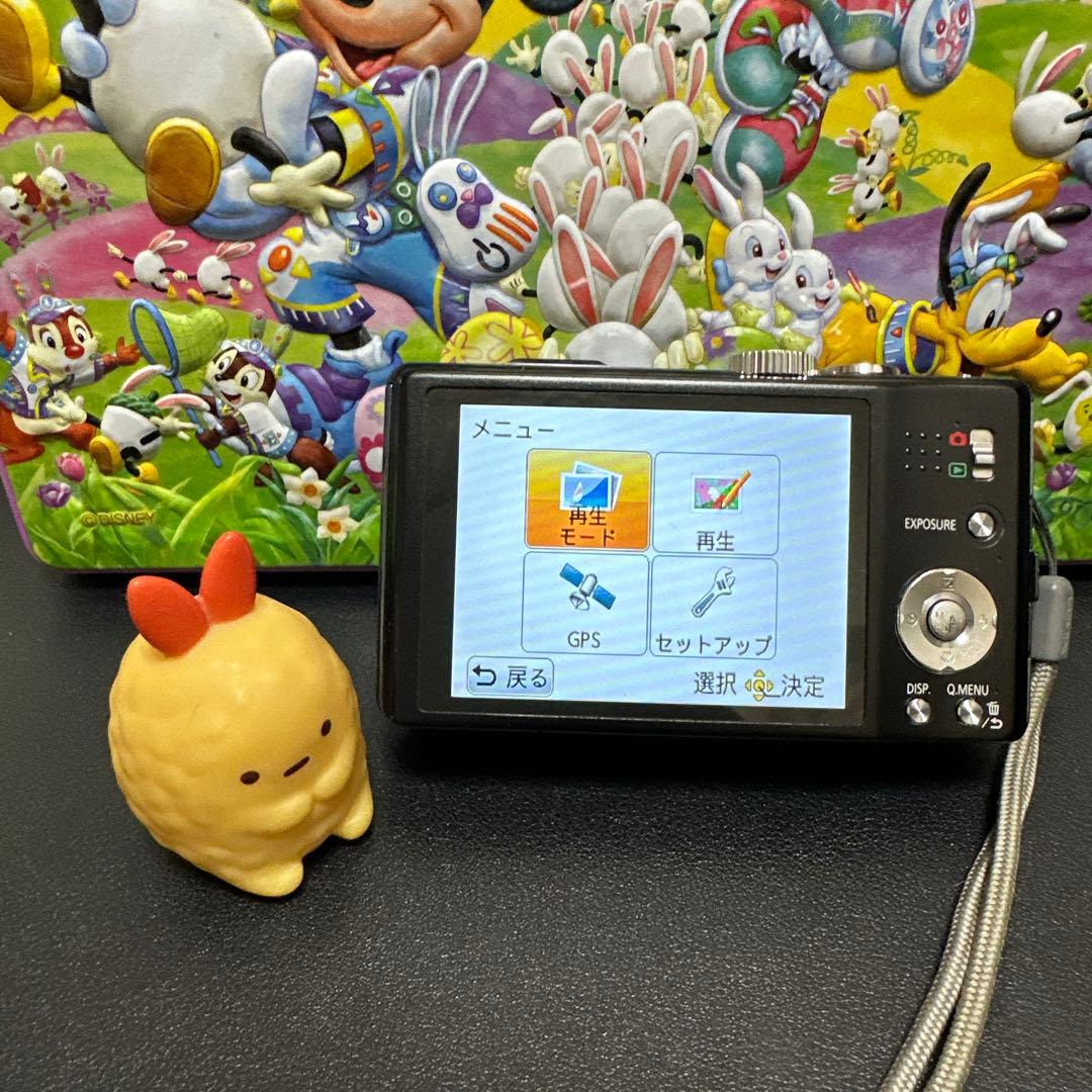 美品 Panasonic LUMIX DMC-TZ20 動作品　付属品有り