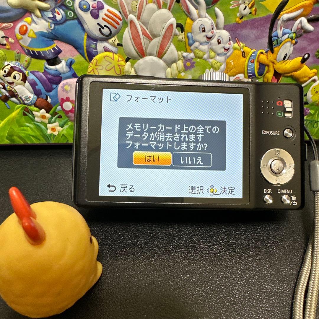 美品 Panasonic LUMIX DMC-TZ20 動作品　付属品有り