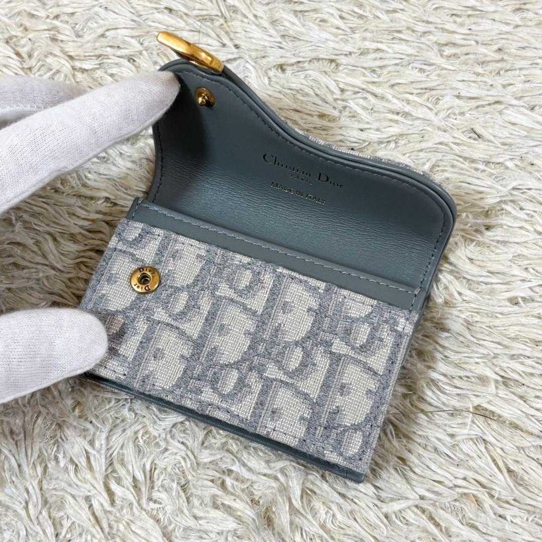 【未使用】クリスチャンディオール 名刺入れ オブリーク トロッター柄 サドル