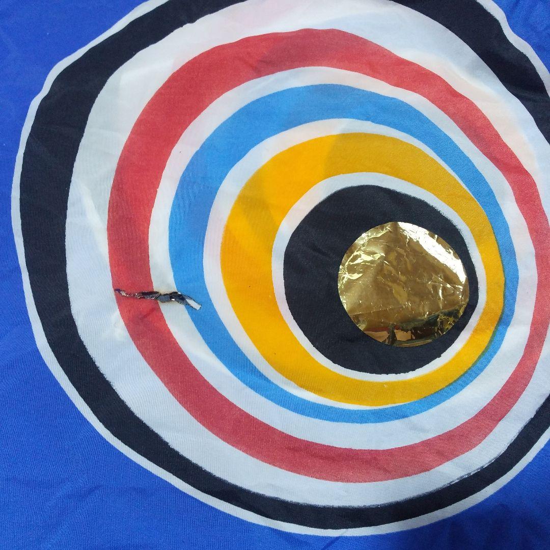 鯉のぼり　6mセット　真鯉　緋鯉　子鯉　吹き流し　旭昇印　旭化成ナイロン