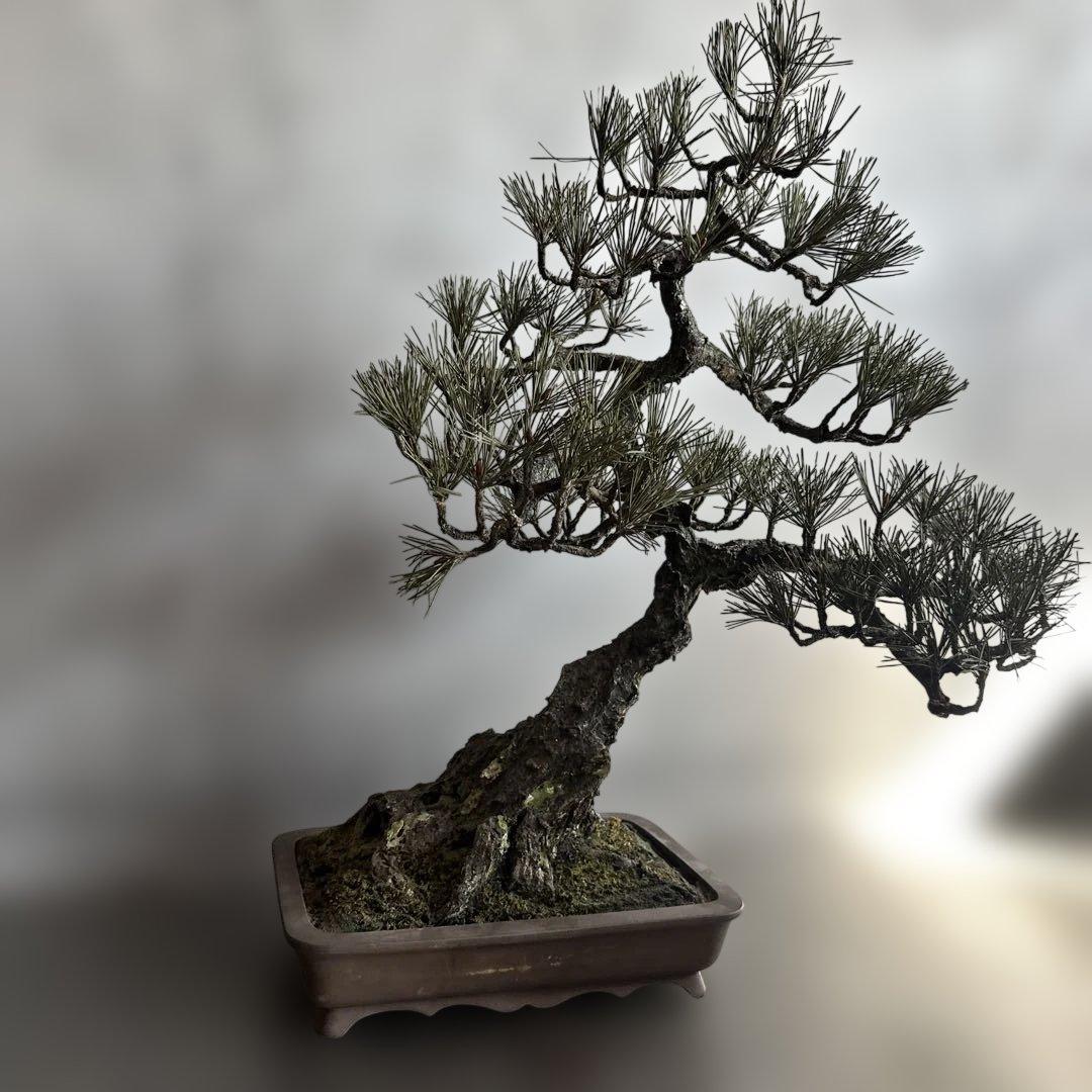 瞬間的お値下げ‼️素敵すぎるフェイク盆栽‼️自然形状の盆栽 四角形鉢