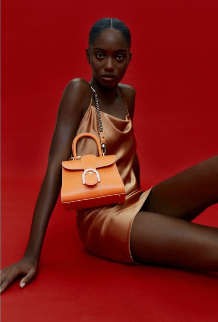 DELVAUX BRILLANT デルヴォー ブリヨン ミニ