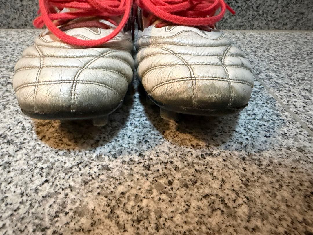 MORELIAネオ4β