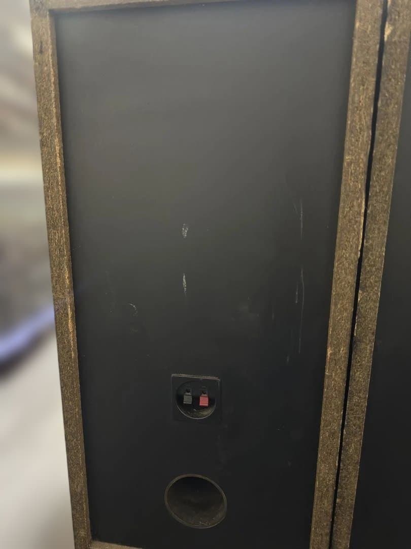 CERWIN-VEGA! 250SE スピーカー