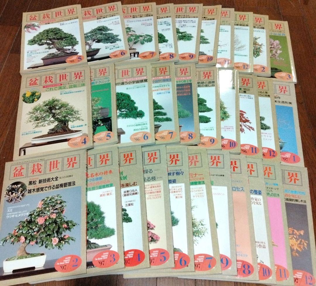 盆栽世界 1995-1997年 31冊　盆栽　BONSAI　平成　園芸　希少本