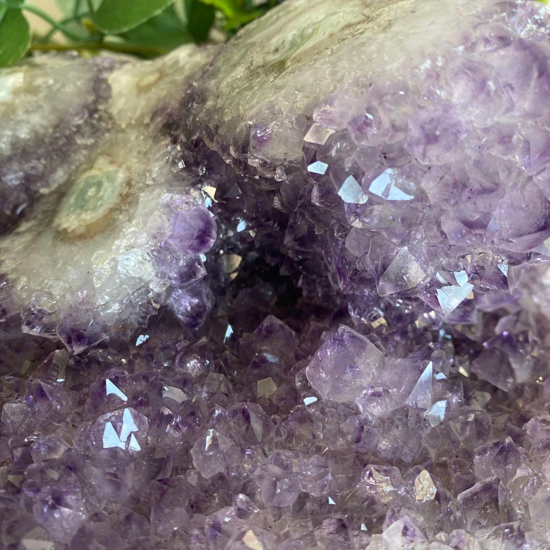 ⭐︎希少価値⭐︎虹も見える♪花満開のアメジスト⭐︎