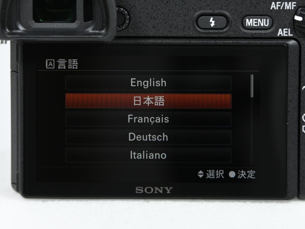 【超美品】SONY α6300 ILCE-6300 ボディ《ショット数1723》