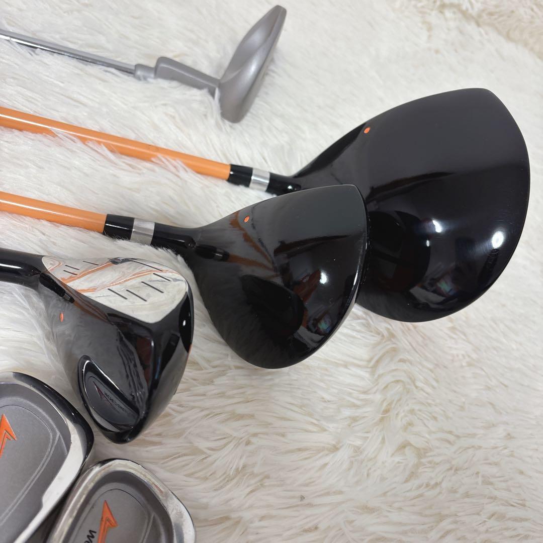 希少 美品 ワールドイーグル FL-01 V2 レディースゴルフセット 10本