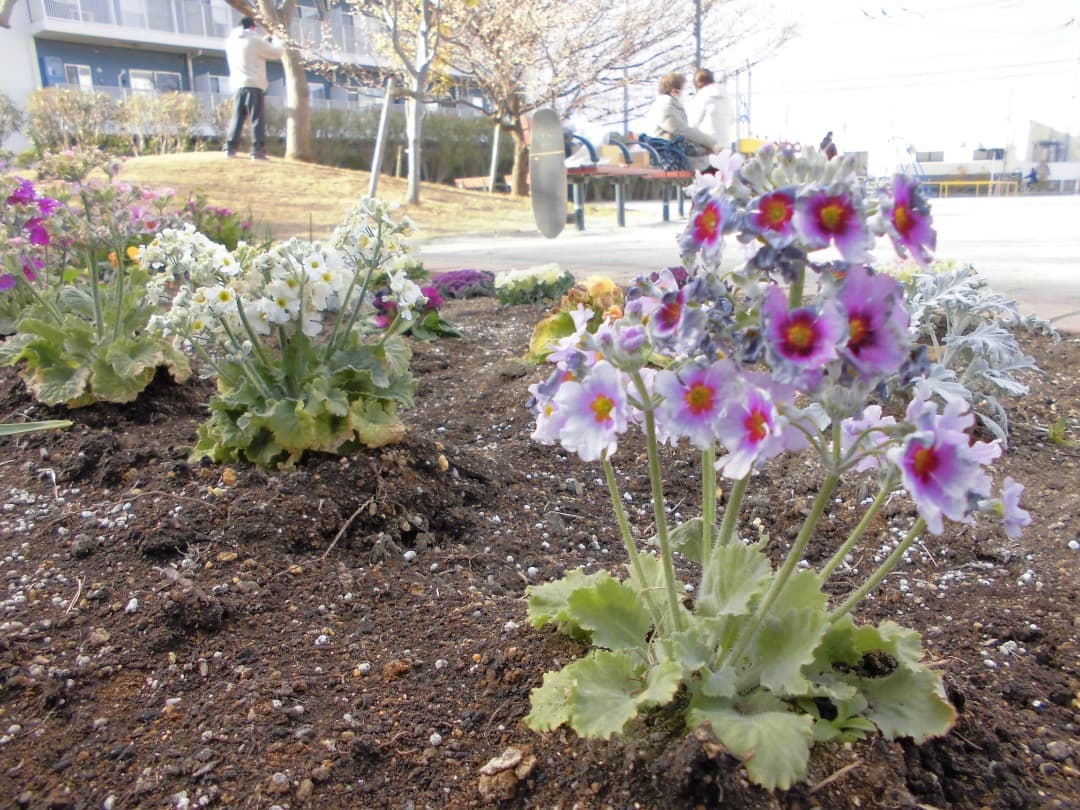 実写美⭕️美品【動作確認済】CASIO EXILIM EX-ZS25 デジカメ