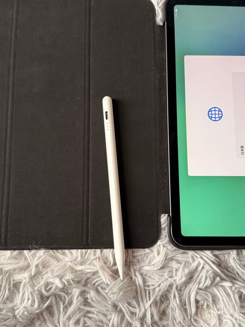 ipad pro 第1世代 256GB 11インチ バッテリー100% ＋おまけ