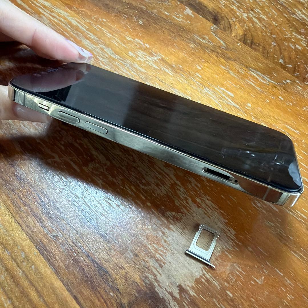 【31日Am8:00まで専用】ルフィー様