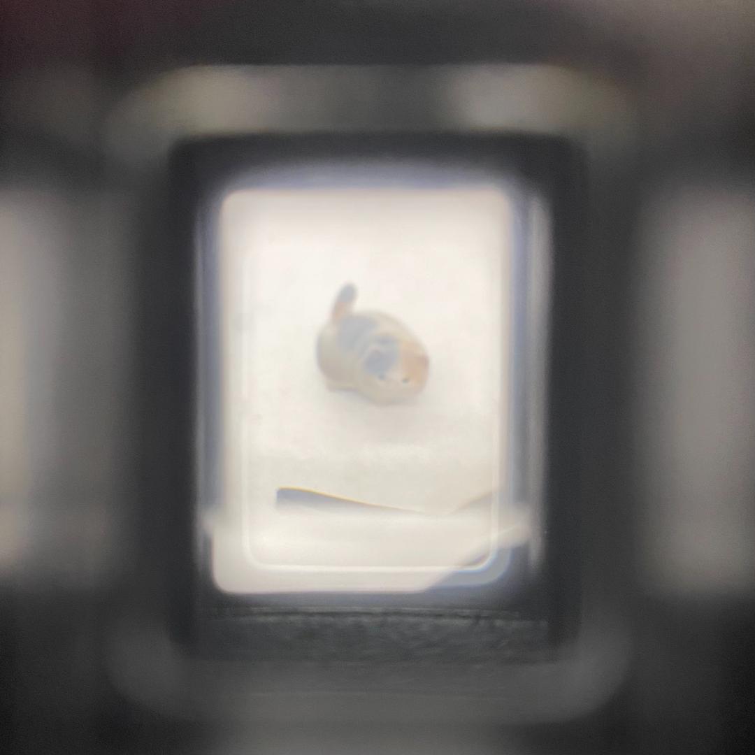 【C6455】OLYMPUS オリンパス PEN EF フイルムカメラ