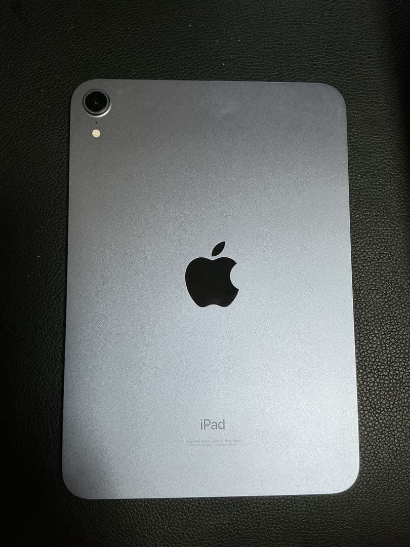 ガ*ハ様 Apple iPad mini 256GB 6世代