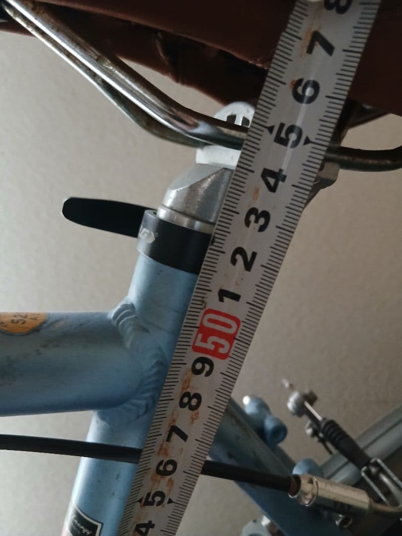 LOUIS GARNEAU ルイガノ　引取希望