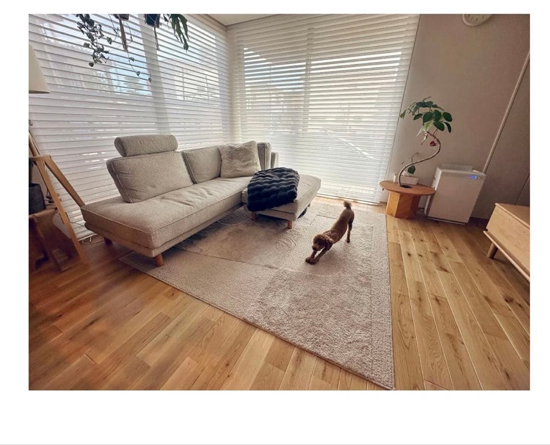 新品未使用　unicoラグEPET(エペット)グレージュ