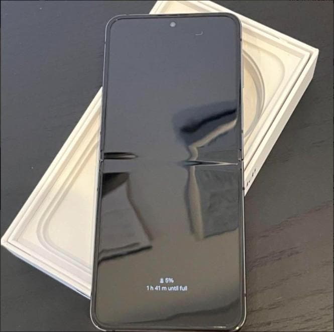 Samsung Galaxy Z Flip5 512GB 海外版 グラファイト