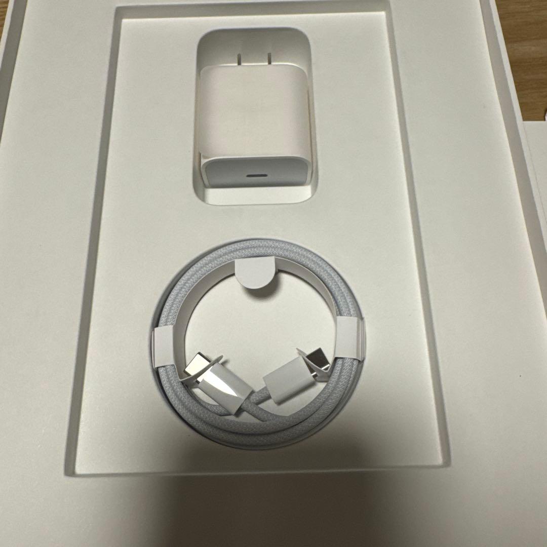 iPad Pro11インチ第4世代 ApplePencil 第2世代替芯 セット