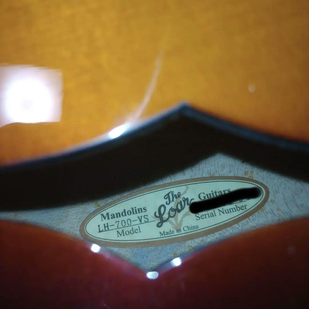 The LOAR LH-700VS アーチトップギター　美品