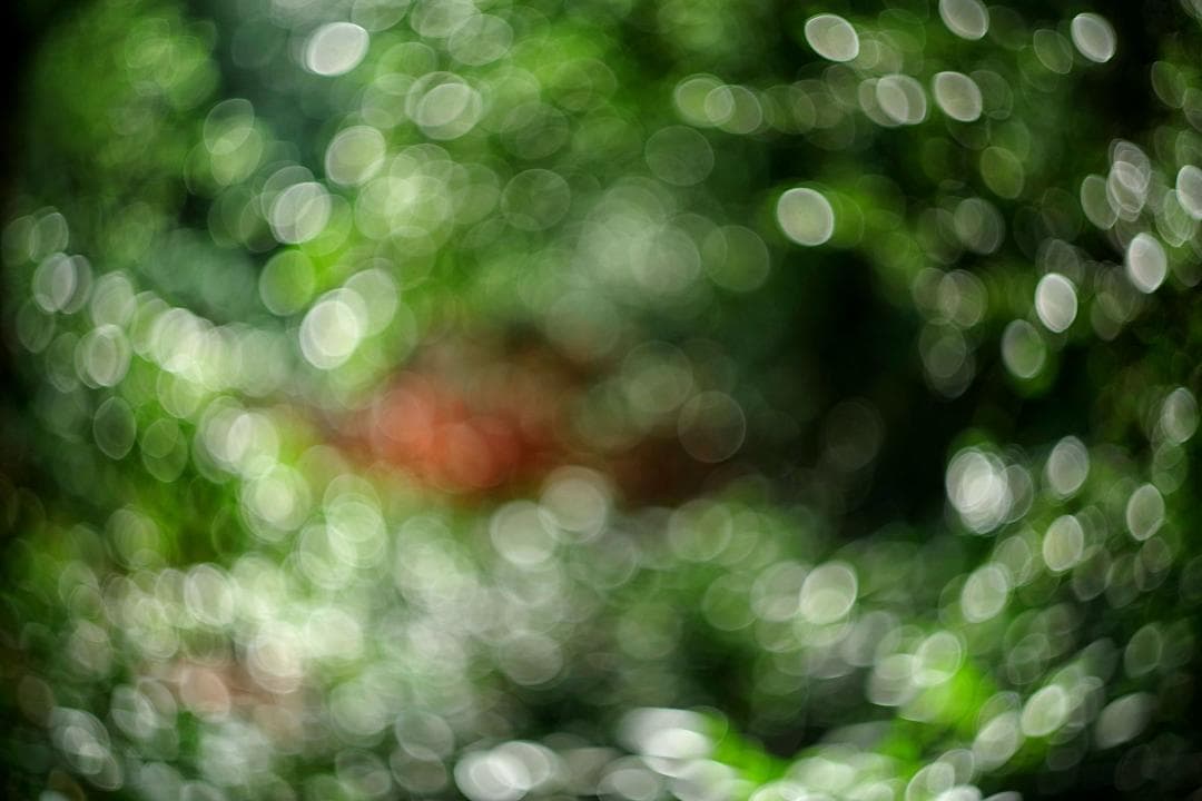 33【希少】13枚絞り　分解整備済み　Helios　ヘリオス44　アダプター付