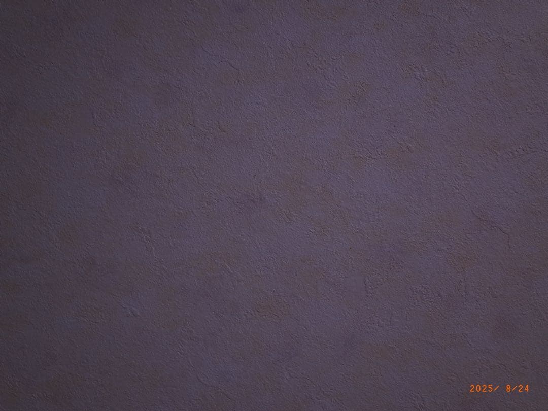 リコー　GR APS-C