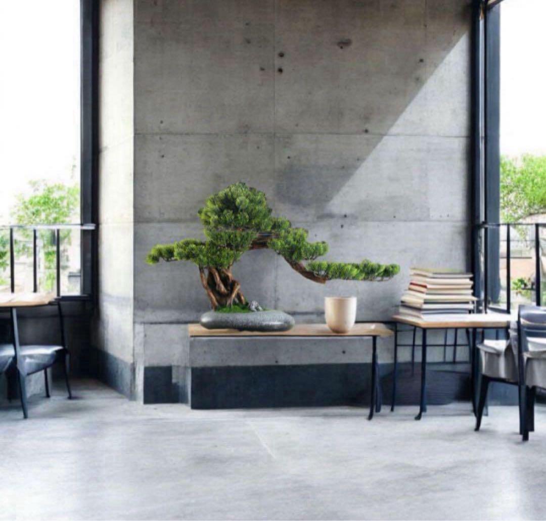 幅70cmフェイク盆栽 盆栽 松 人工盆栽 フェイクグリーン 造花 高品質 大型