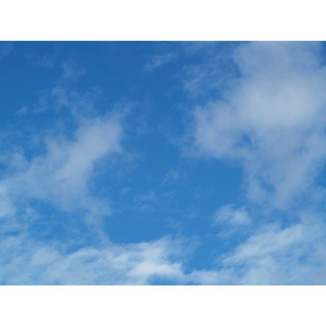 ◆ほぼ未使用◆オリンパス　E-500 バリューキット　ショット数97回　作例あり