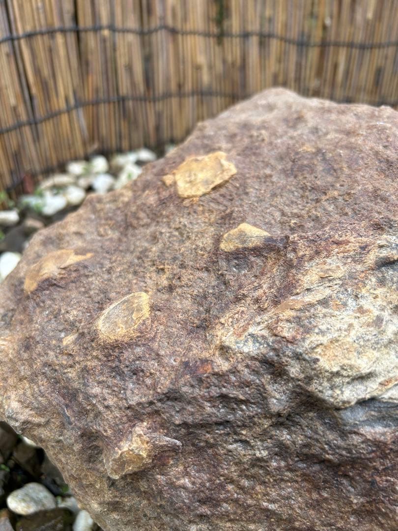 京の銘石『本鞍馬石』