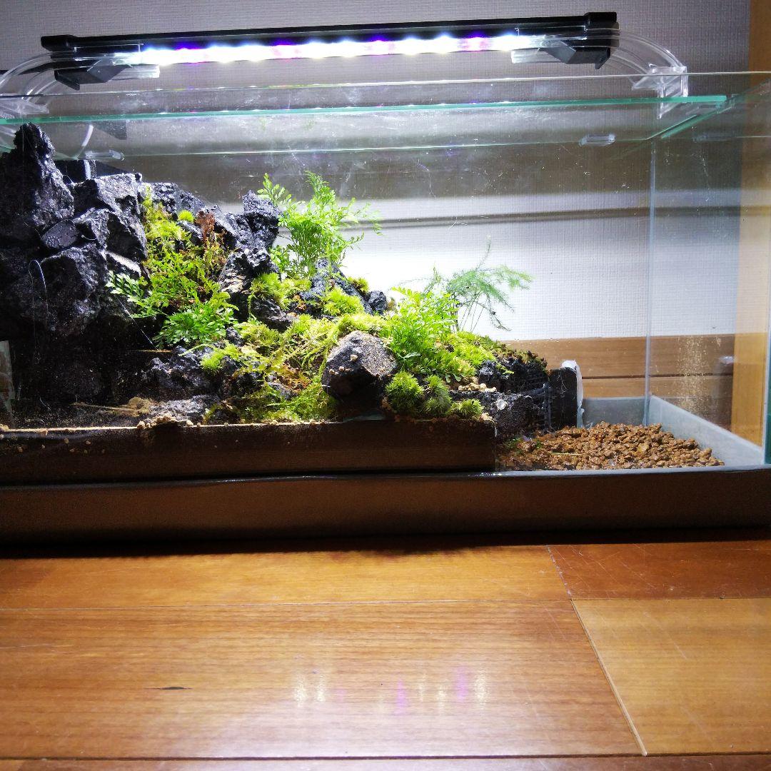 【オーダーメイド】滝のあるアクアテラリウム