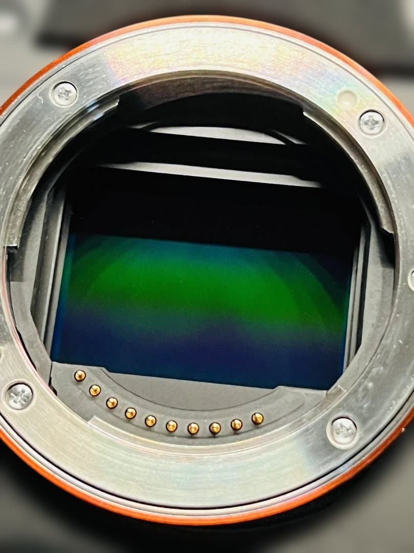 SONY α7Sⅲ ILCE-7SM3 撮影回数637枚 アクセサリー付き